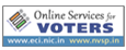 Online Services for Voters
